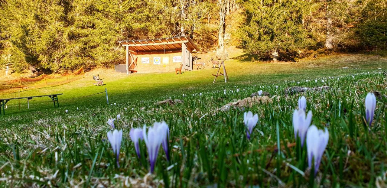 Schieplechnerhof Lejlighed Schladming Eksteriør billede