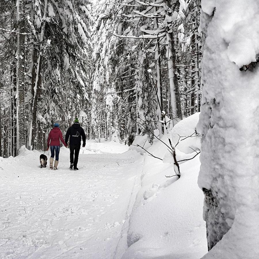 Schieplechnerhof Lejlighed Schladming Eksteriør billede