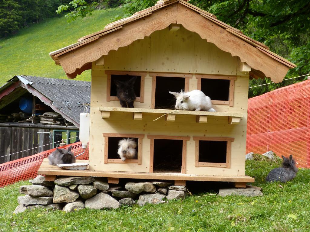 Schieplechnerhof Lejlighed Schladming Eksteriør billede