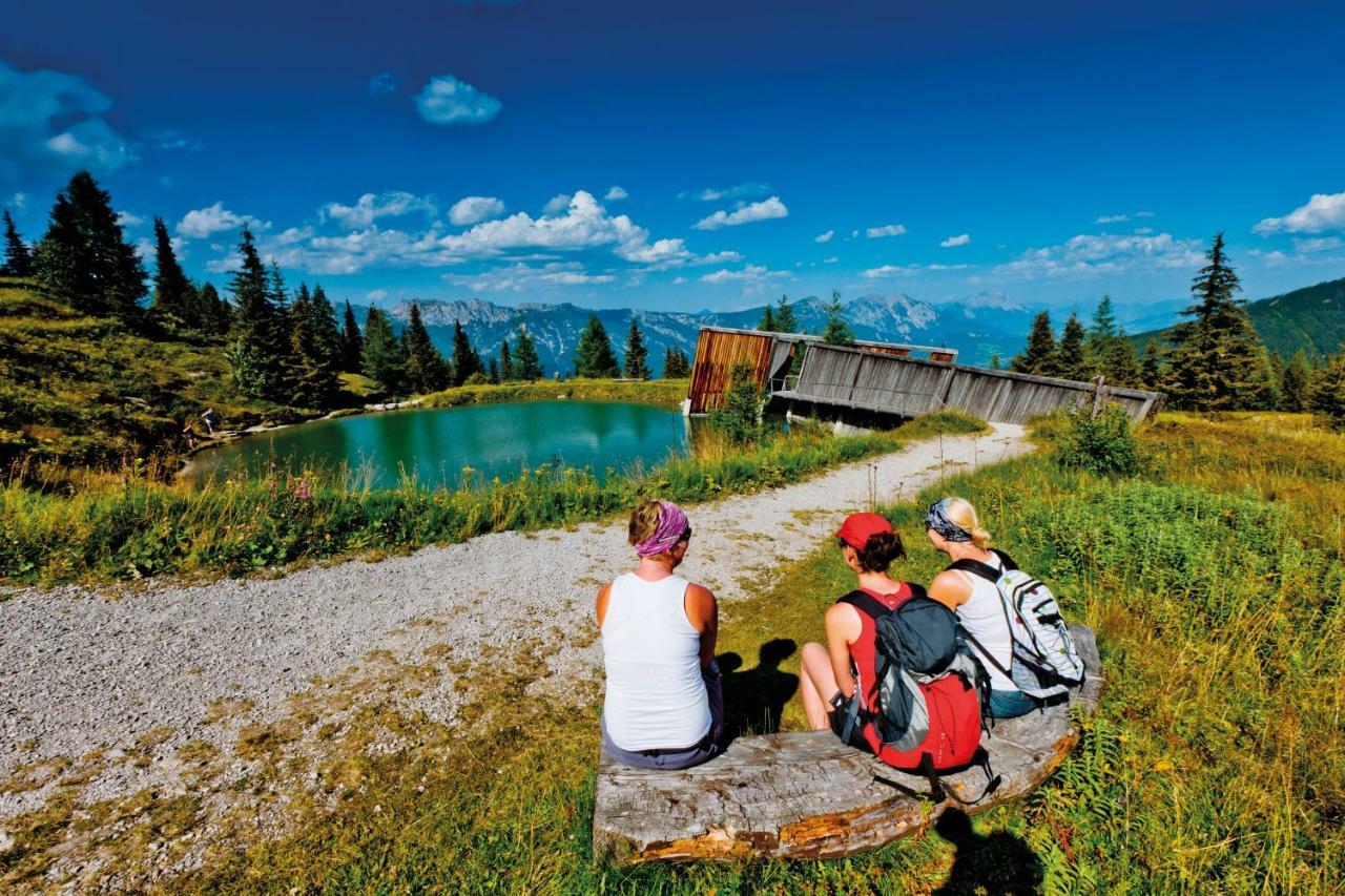 Schieplechnerhof Lejlighed Schladming Eksteriør billede