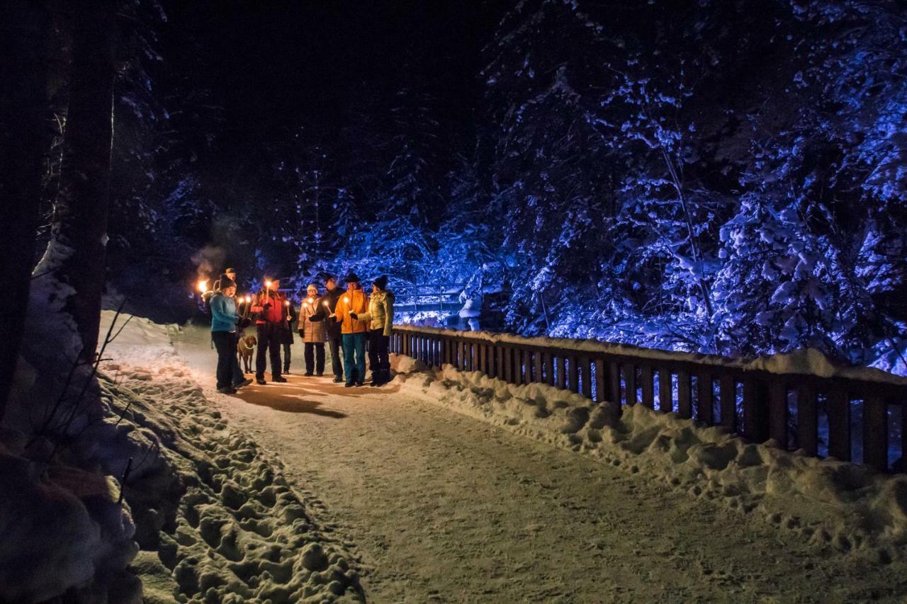 Schieplechnerhof Lejlighed Schladming Eksteriør billede