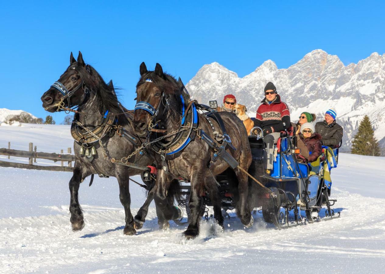 Schieplechnerhof Lejlighed Schladming Eksteriør billede